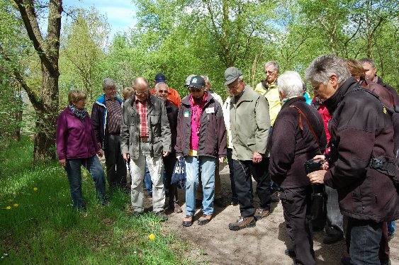 Im Stoteler Moor gab es viel zu entdecken. Experte Helmut Schwarting machte die insgesamt 30 Teilnehmer der naturkundlichen Führung auf die Schönheit des Moores aufmerksam.   Foto be